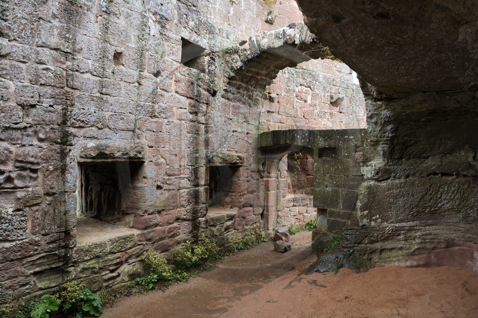 France, Bas-Rhin (67), château de Fleckenstein