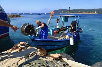 France, Var (83), Iles d'Hyères, Parc national de Port Cros, Ile du Levant, domaine naturiste d'Héliopolis, retour au port du bateau de pêche de Christophe et Brigitte Chevallier, seuls pêcheurs professionnels d'Héliopolis