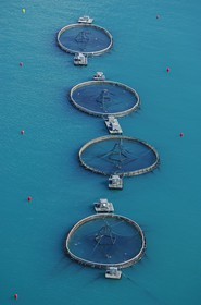 Norway, Sor-Trondelag, fish breeding at sea (aerial view)