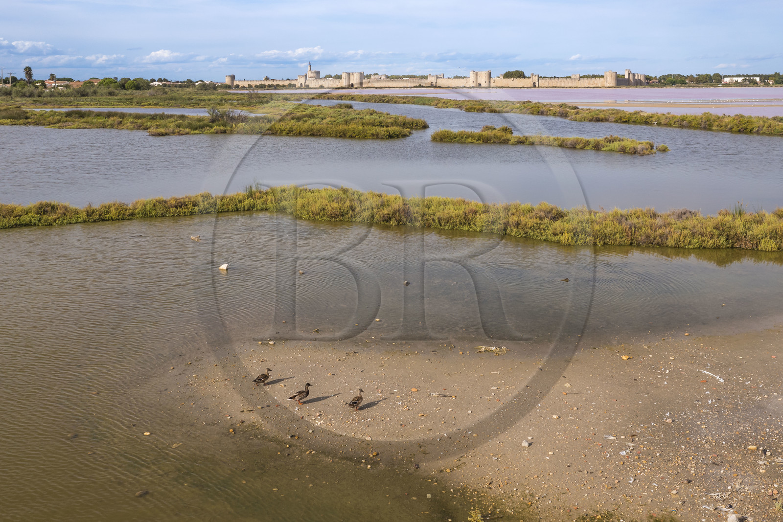France, Gard, Aigues Mortes, the medieval town surrounded by its ramparts on the edge of the salt marshes (Salins du Midi) (aerial view)