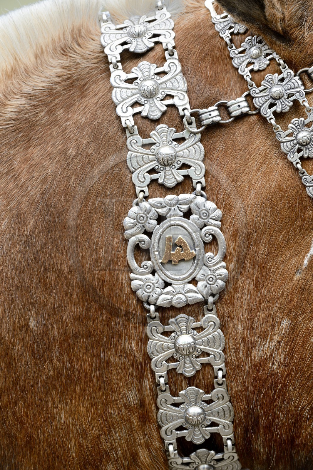 Argentine, province de Buenos Aires, San Antonio de Areco, fête du Jour de la Tradition (Dia de la Tradicion), travail d'orfèvre sur un harnais en argent utilisé lors de grandes occasions, détail
