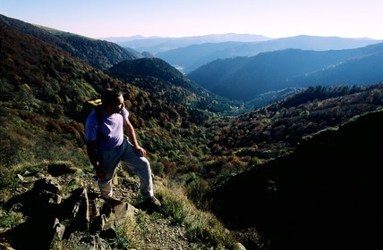 France, Haut-Rhin (68), le massif des Vosges, le Rainkopf et la vallée de Mittlach