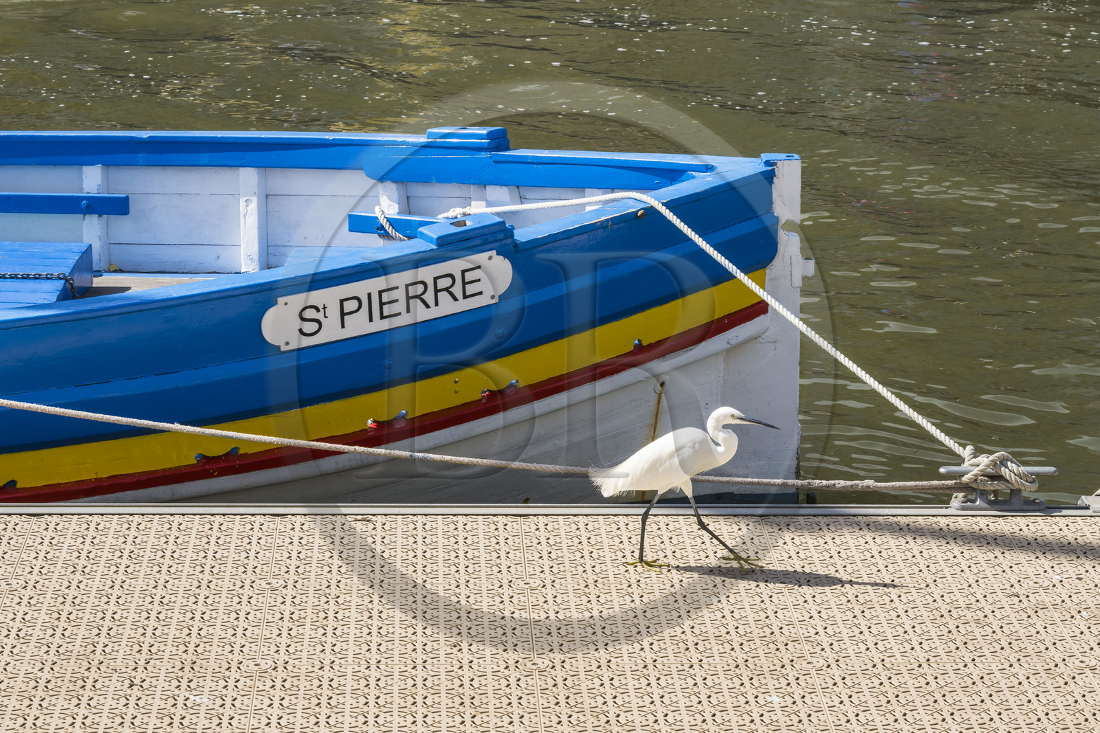 France, Hérault (34), Palavas-Les-Flots, aigrette garzette (Egretta garzetta) et bateau de pêche traditionnels sur le port