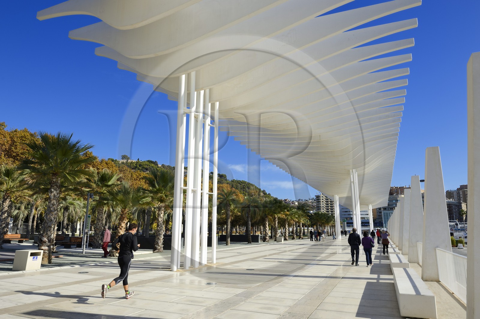Spain, Andalusia, Malaga, the waterfront on the port, Palmeral de las Sorpresas
