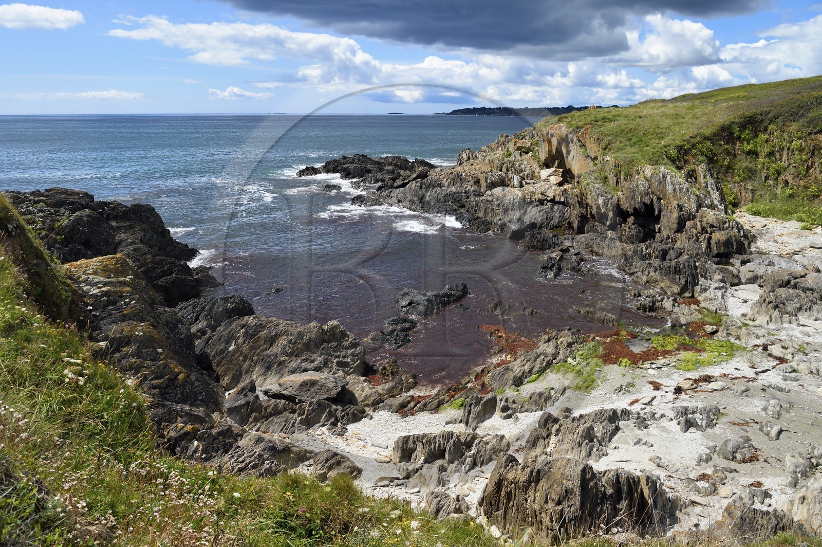France, Finistère (29), Moelan-sur-Mer, le littoral entre Kerfany les Pins et la plage de Trenez sur le chemin de Grande Randonnée GR 34 ou sentier des douaniers