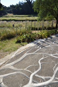 France, Var (83), Rayol-Canadel-sur-Mer, Domaine du Rayol, propriété du conservatoire du littoral mention obligatoire, le jardin des Méditerranées conçu par le paysagiste Gilles Clément, Land art ephemère au sol