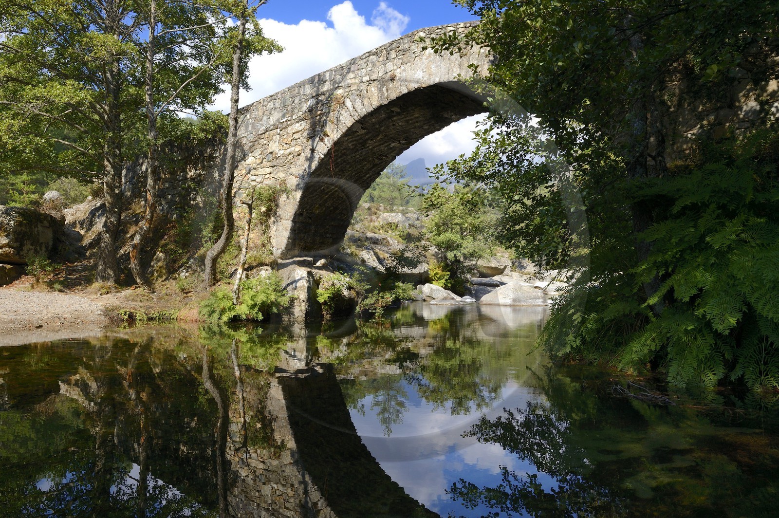 France, Haute-Corse (2B), région du Niolu (Niolo), pont génois de Murricciolu sur la rivière Calasima