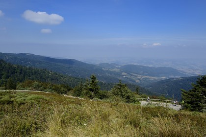 France, Loire, Parc Naturel Regional du Pilat (Natural Regional Park of Pilat), landscape north from the Cret de l'Oeillon (Oeillon crest) in the Pilat massif