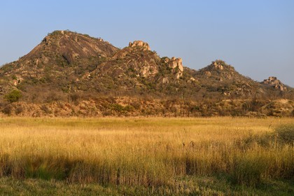 Zimbabwe, province de Matabeleland méridional, Matobo ou Matopos Hills National Park, classé Patrimoine Mondial de l'UNESCO, les collines rocheuses