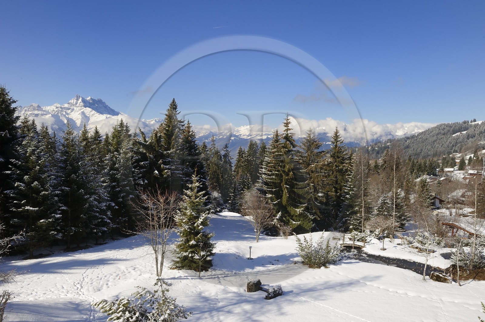 Suisse, Canton de Vaud, Villars sur Ollon