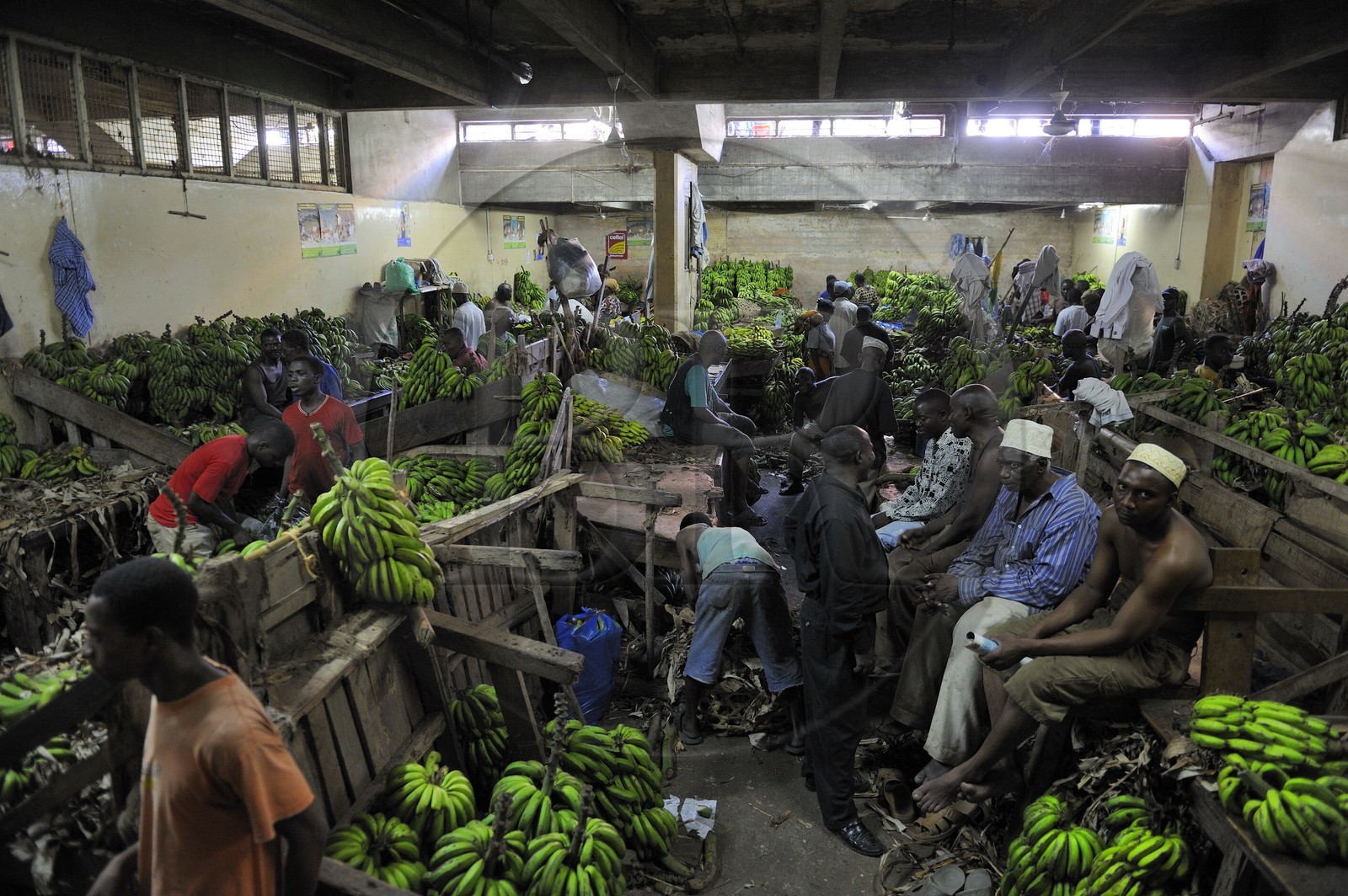Tanzanie, Dar es-Salaam, le grand marché central de Kariakoo, la salle des bananes dans la partie basse au sous-sol