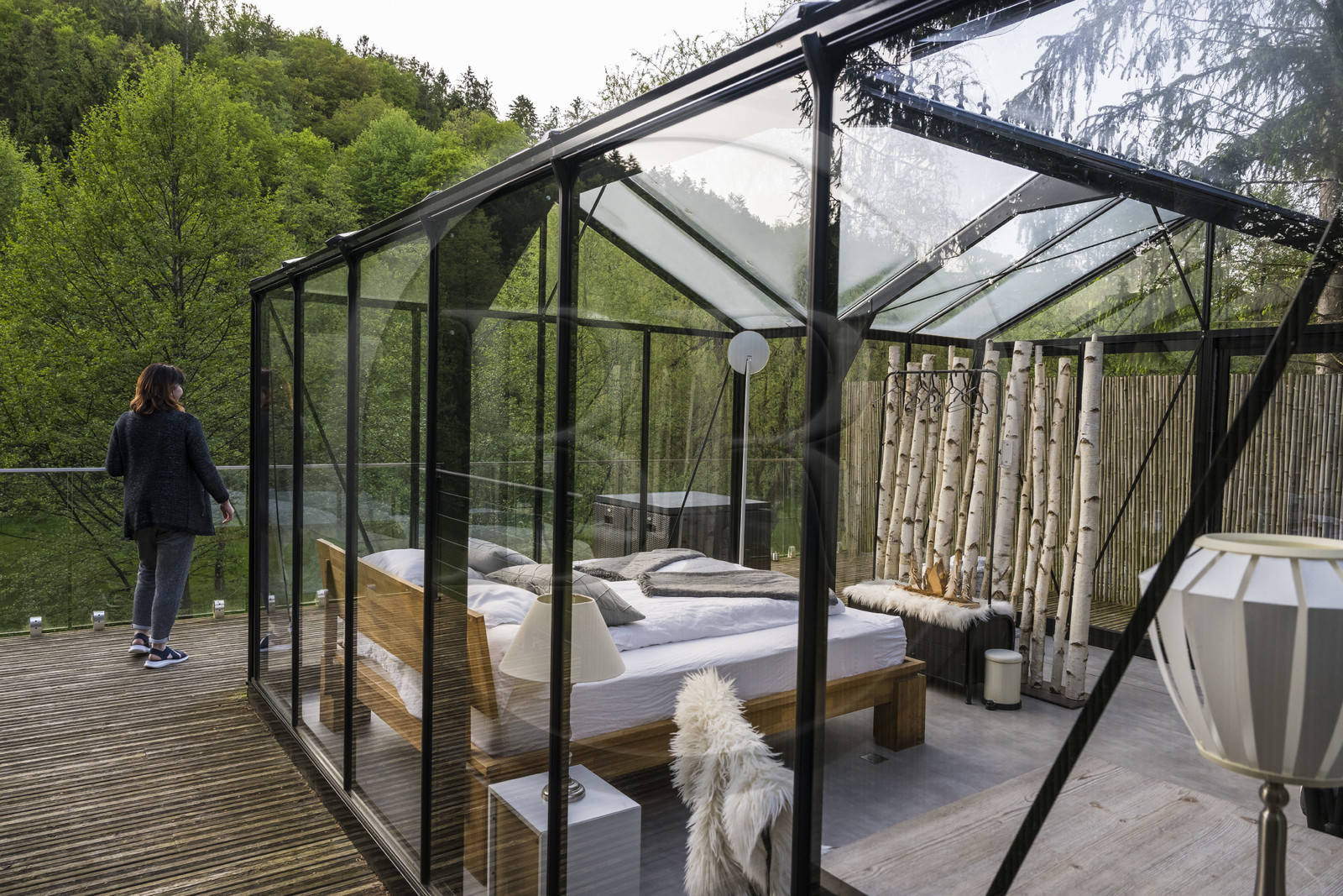 France, Moselle (57), Parc régional des Vosges du nord, Siersthal – Holbach près de Bitche, chambres d'Hôtes la Grange d’Hélène, la chambre de verre