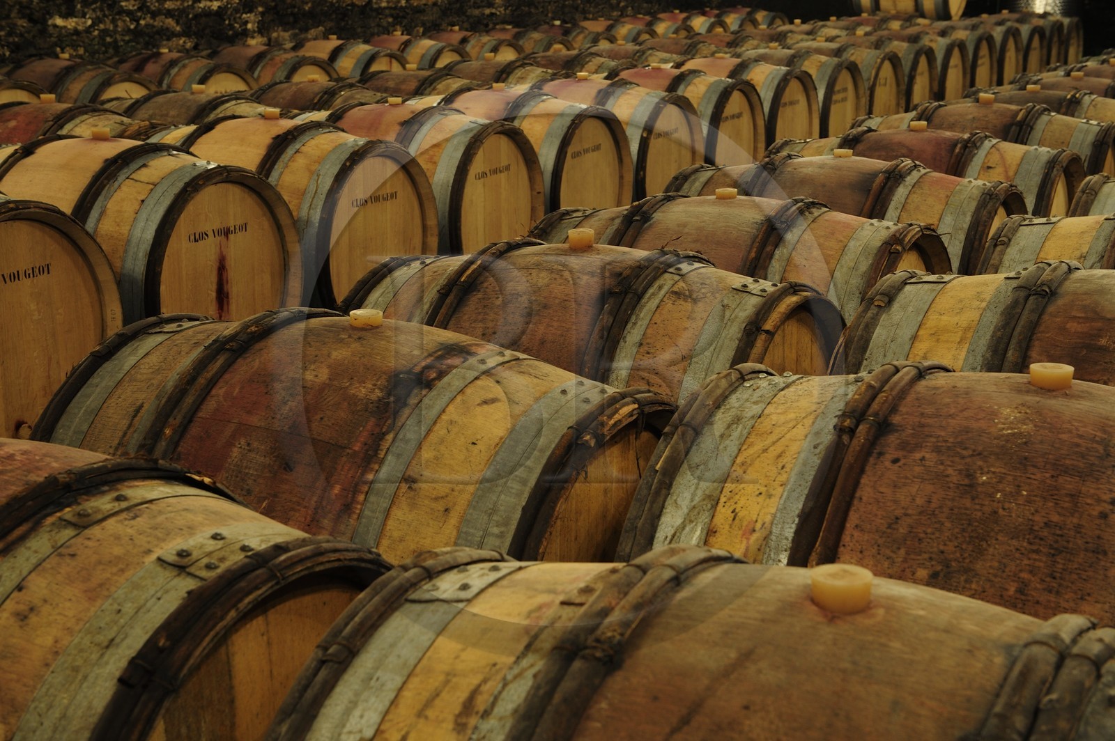 France, Côte d'Or (21), Gevrey-Chambertin, cave du domaine Drouhin-Laroze