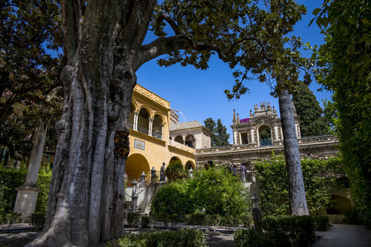 Spain, Andalusia, Seville, the Alcazar of Seville (Reales Alcazares de Sevilla), listed as World Heritage by UNESCO, the gardens and the Palacio Gotico