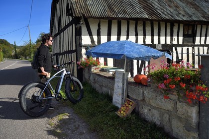 France, Seine-Maritime, Norman Seine River Meanders Regional Nature Park, Bardouville, selling apples live on the Simone Vauclin farm