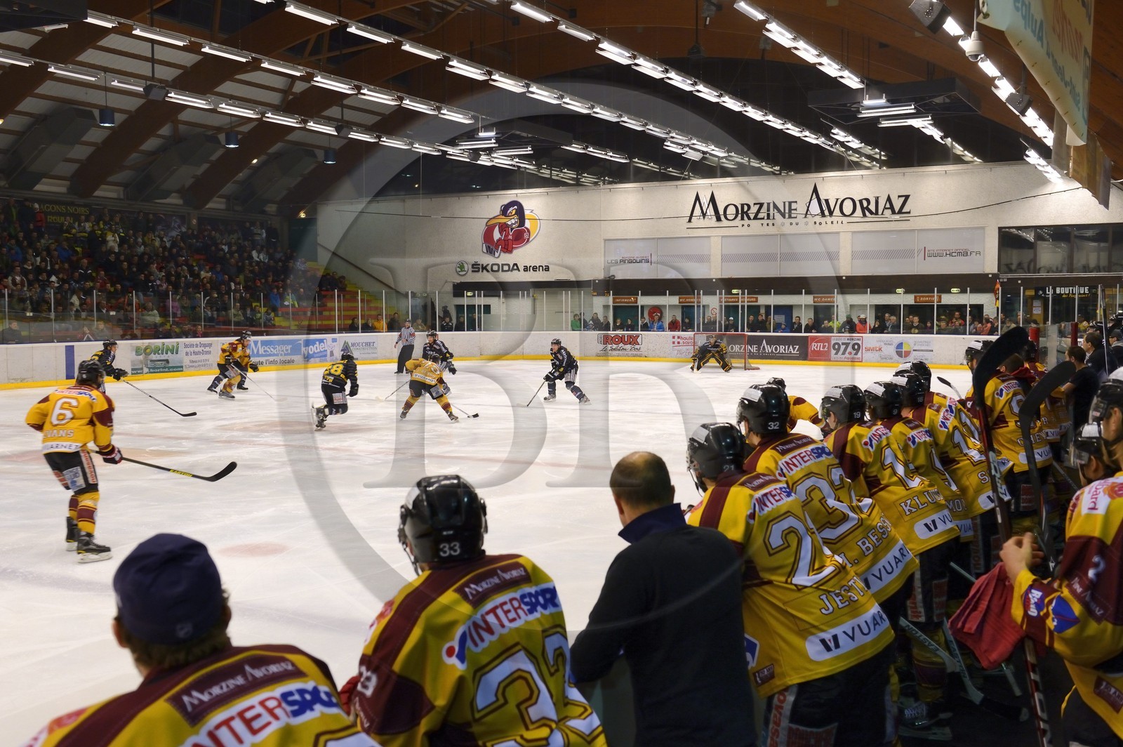 France, Haute-Savoie (74), Morzine, match de hockey sur glace du Hockey Club Morzine-Avoriaz appelé les Pingouins
