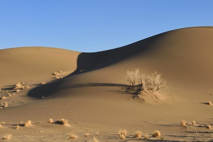 Iran, Province de Yazd, désert du Dasht-e Kavir, Moghestan, dunes