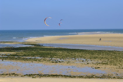 France, Charente-Maritime (17), ile de Ré, Les Portes-en-Ré, plage de Trousse-Chemise