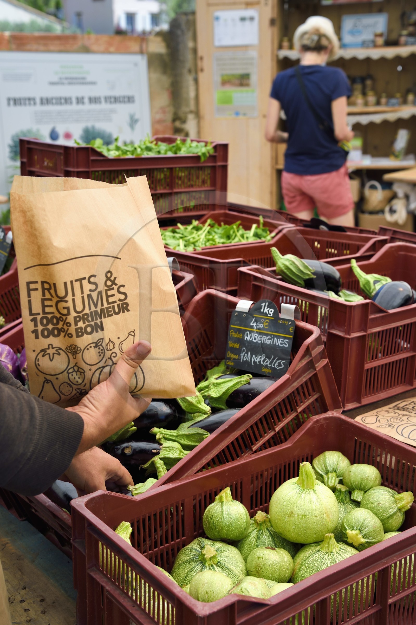 France, Var (83), Iles d'Hyères, parc national de Port Cros, Ile de Porquerolles, Les Jardins de Porquerolles, producteur Bio solidaire