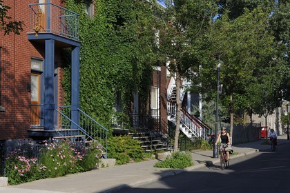 Canada, province de Québec, Montréal, quartier du Plateau Mont Royal