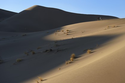 Iran, Province de Yazd, désert du Dasht-e Kavir, Moghestan, randonnée dans le massif dunaire dont la plus haute dune atteint les 200 mètres
