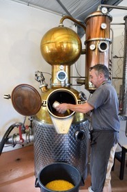 France, Ile de la Reunion, La Saline, La Part des Anges Distillation, remplissage de l'alambic électrique avec l'ananas fermenté pour la triple distillation de l'eau de vie