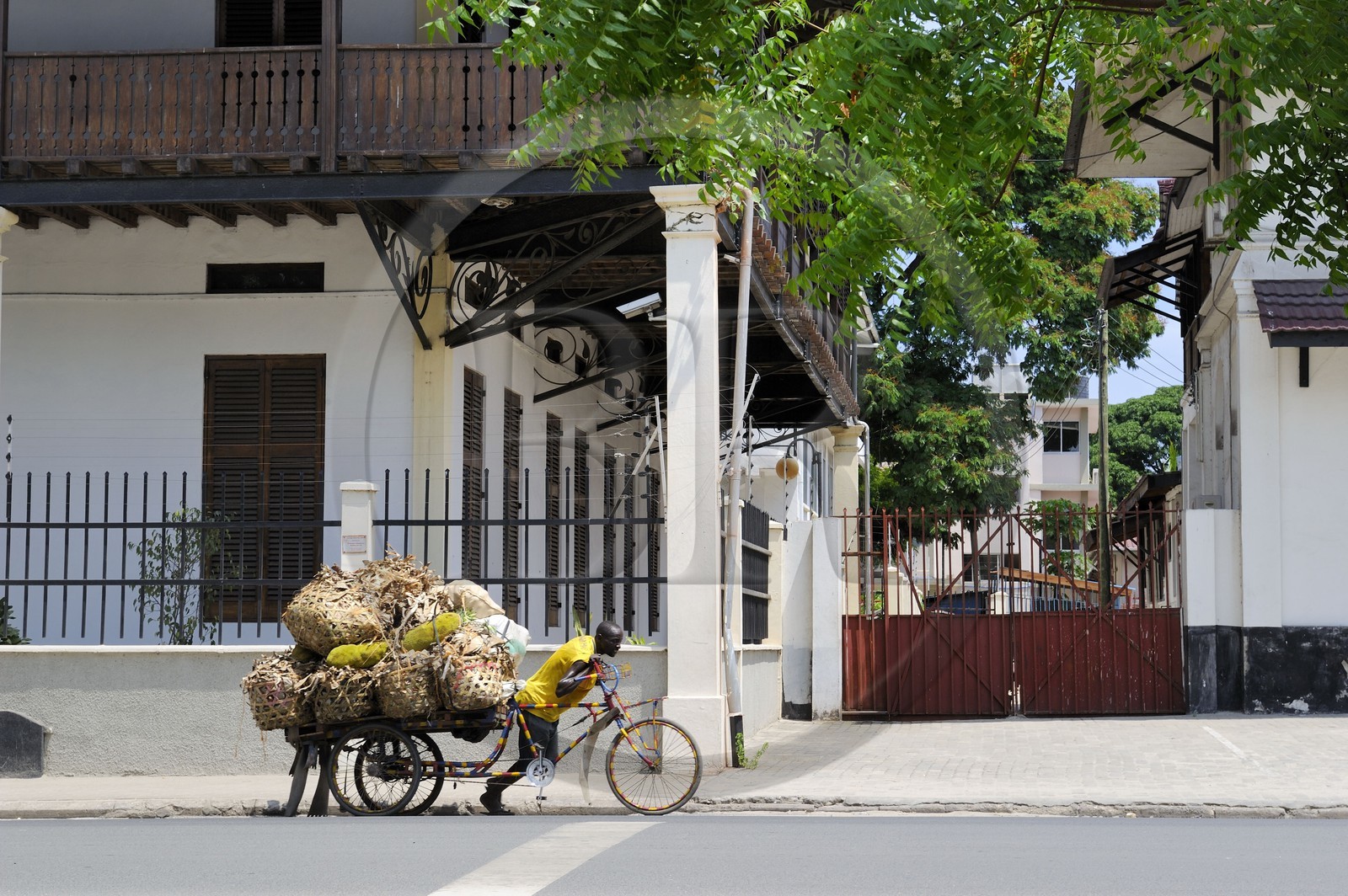 Tanzanie, Dar es-Salaam, chargement de fruit du jacquier, la pomme de jacque, devant une maison de l'époque coloniale