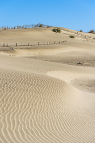 France, Gard (30), massif dunaire camarguais de la Pointe de l'Espiguette en bord de mer