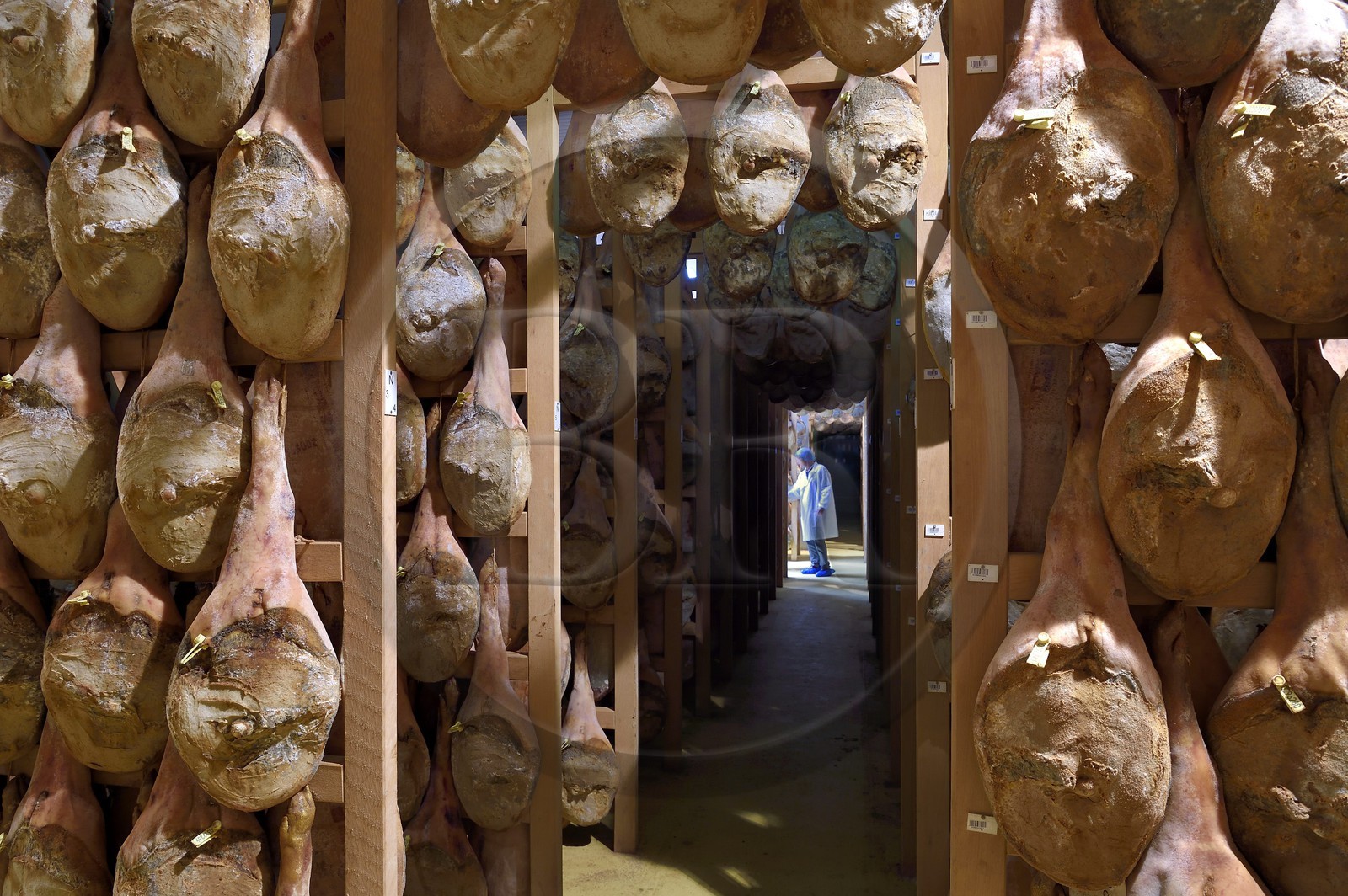 France, Pyrenees Atlantiques, Basque Country, Aldudes valley, the Aldudes collective dryer ensures the drying and the ripening of hams, ripening area