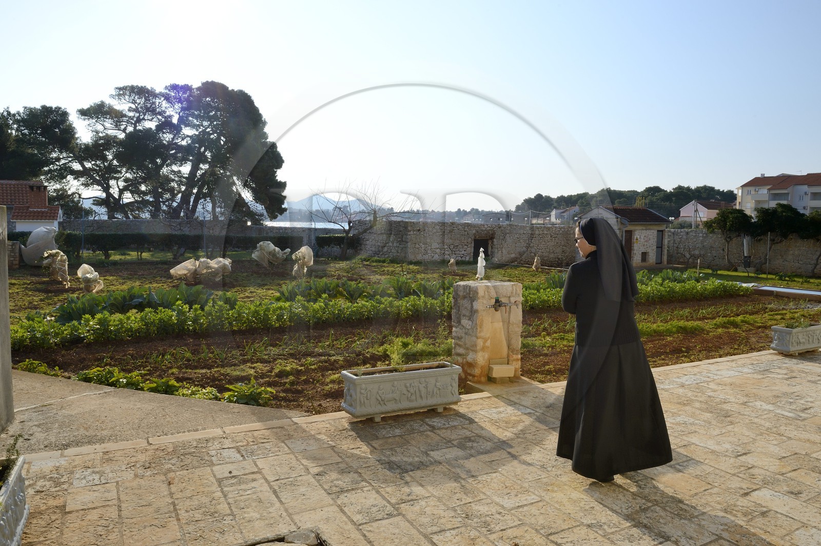 Croatia, Dalmatia, Dalmatian Coast, Ugljan Island, Franciscan St. Jerome Convent of the Congregation of the Sisters of Mercy, sister Theresija in the vegetable garden