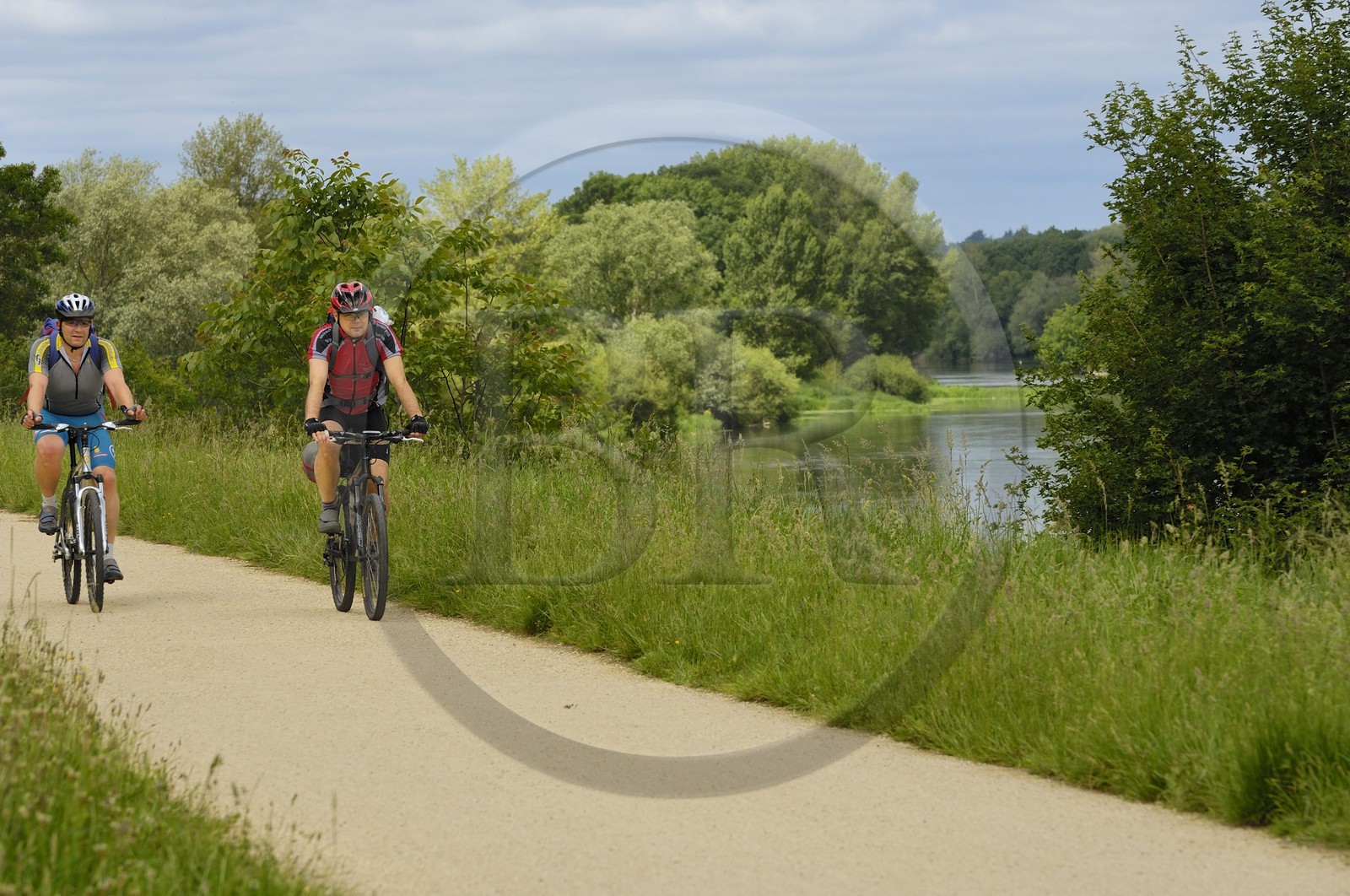 France, Indre et Loire, cycle track on Cher river banks between Savonnieres and Villandry