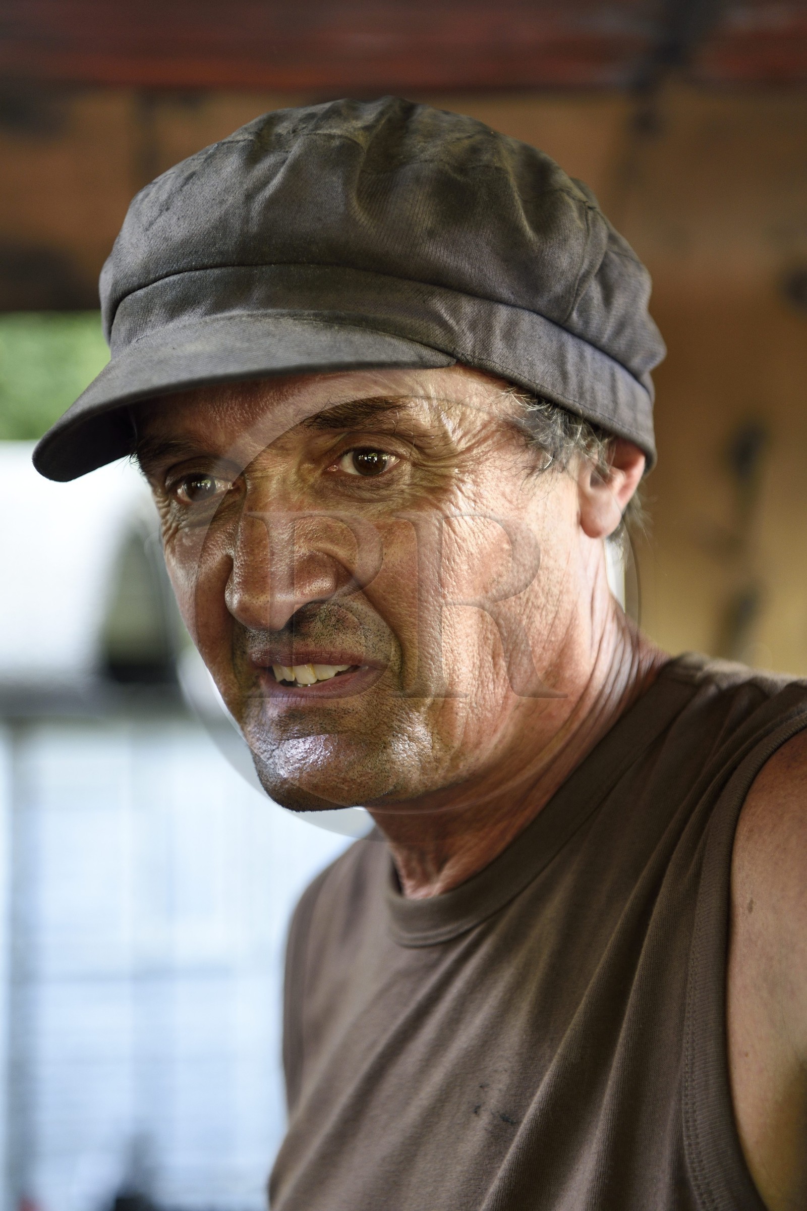 France, Alpes-Maritimes (06), Puget Théniers, locomotive en chauffe, dans la cabine, Frederic Laugier bénévole du G.E.C.P. qui restaure et exploite le Train des Pignes, aujourd'hui chauffeur
