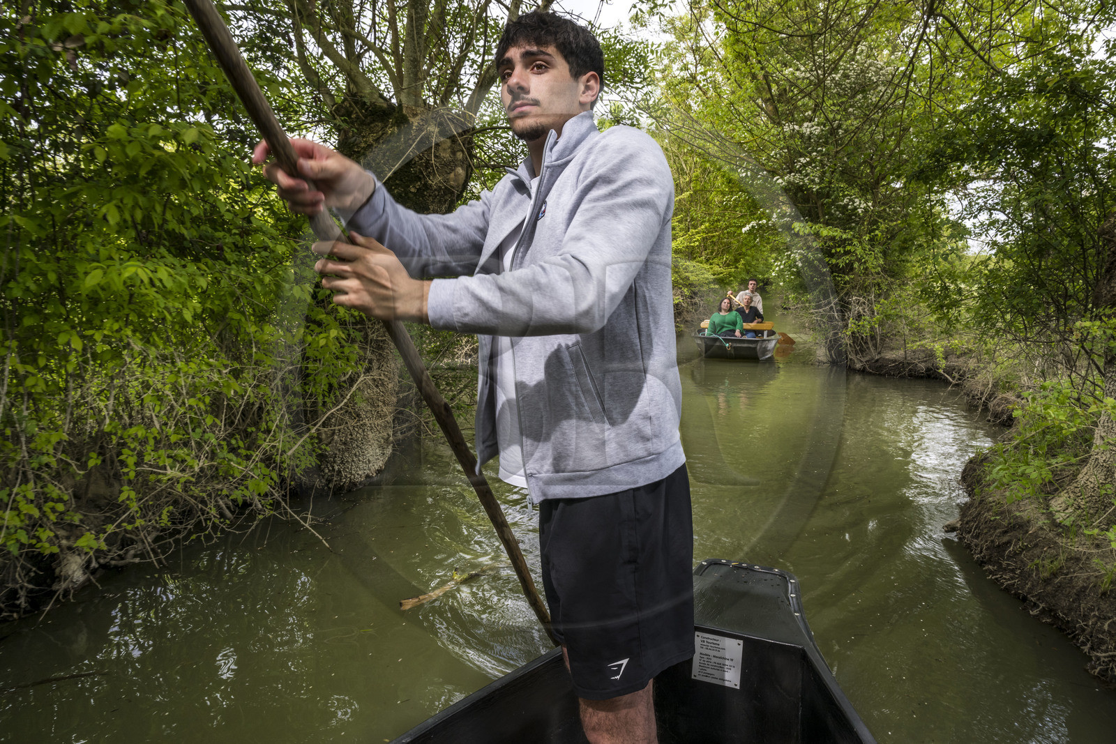 France, Vendee, Parc Interregional du Marais Poitevin labellised Grand Site de France (Interregional Park of the Marais Poitevin labelled Great Site of France), Maillezais, the boatman Mathis Babin holding his pigouille (wooden pole) pushes his boat on the tributaries of the Autise river