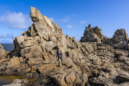 France, Finistère (29), Mer d'Iroise, Ile d'Ouessant, randonneuse dans les rochers façonnés par les tempêtes au pied du phare du Créac’h