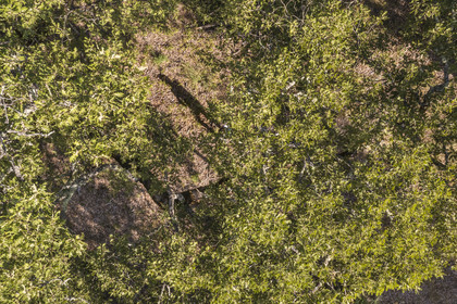 France, Var (83), Provence Verte, Bras, Académie du Bain de Forêt Provençale, forêt du domaine Le Peyrourier - une campagne en Provence (vue aérienne)