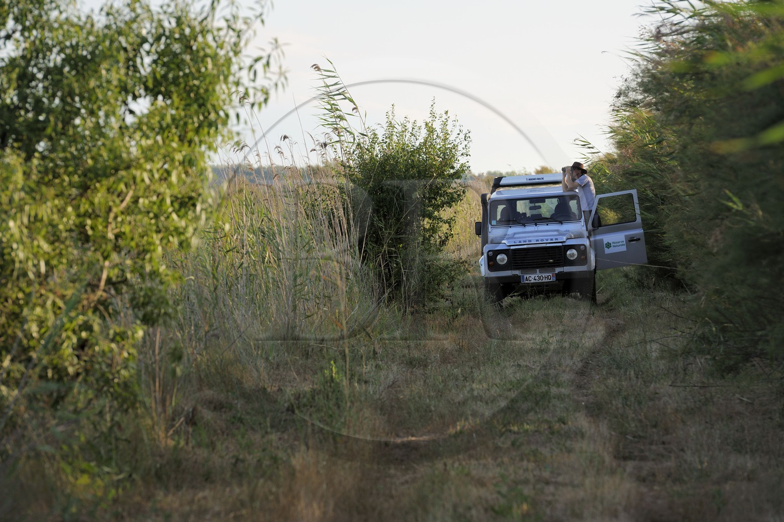 France, Hérault (34), région du Cap d'Agde, la Réserve Naturelle Nationale du Bagnas à l’ouest de l’étang de Thau