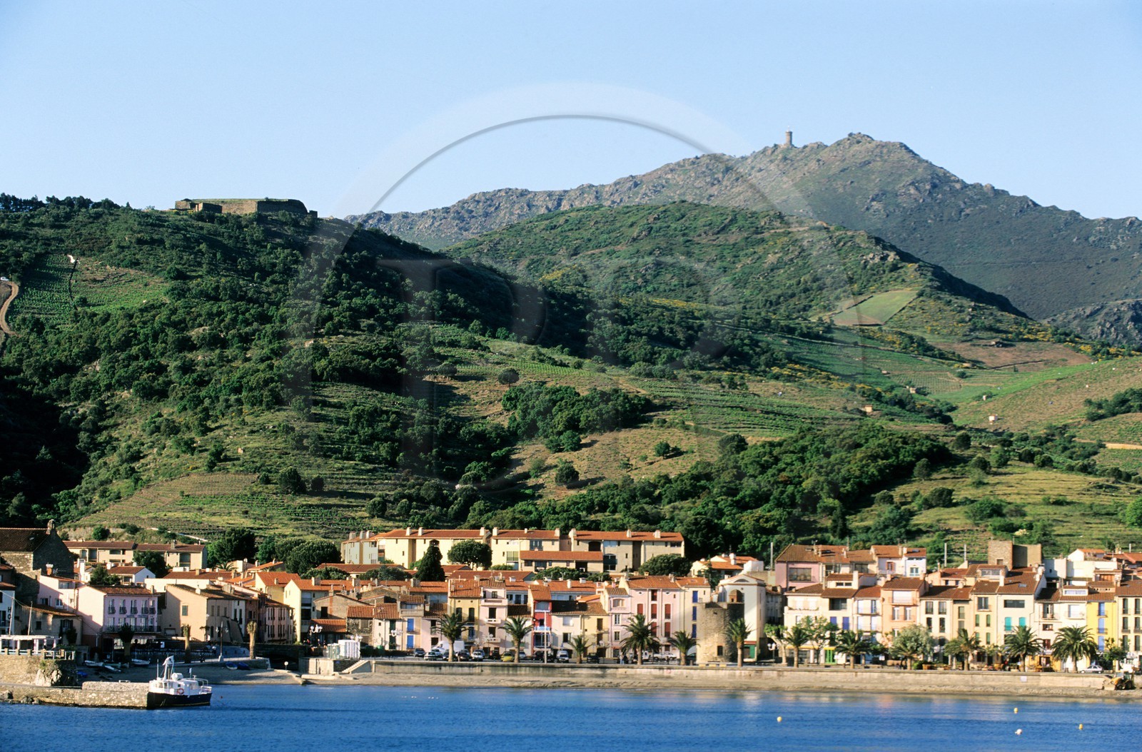 France, Pyrénées-Orientales (66), Collioure et sa plage dominées par la tour Madeloc