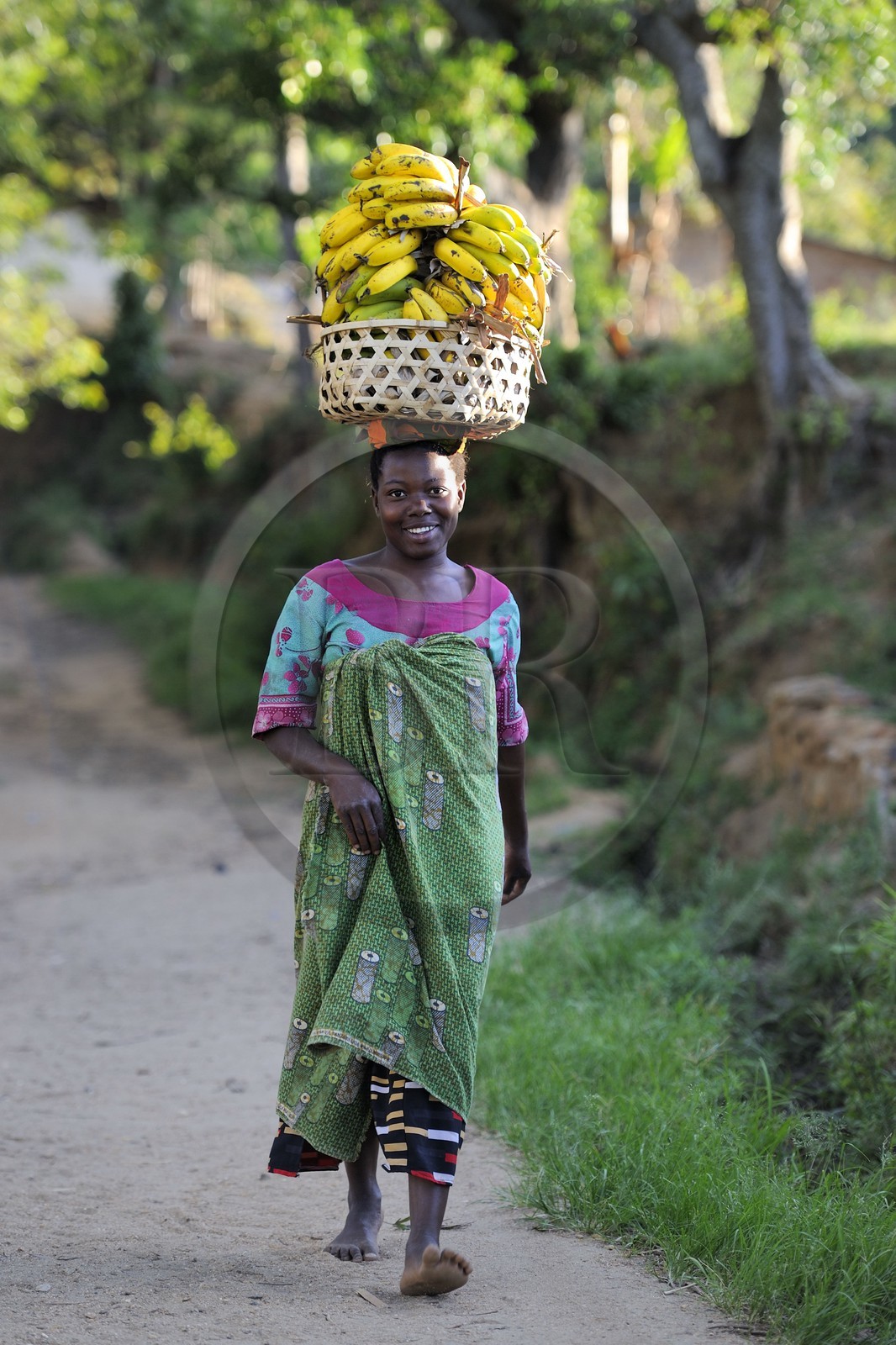 Tanzanie, région de Morogoro, les Monts Uluguru, aux alentours de l'ancien refuge allemand de Morningside, femme portant un panier de bananes sur sa tête