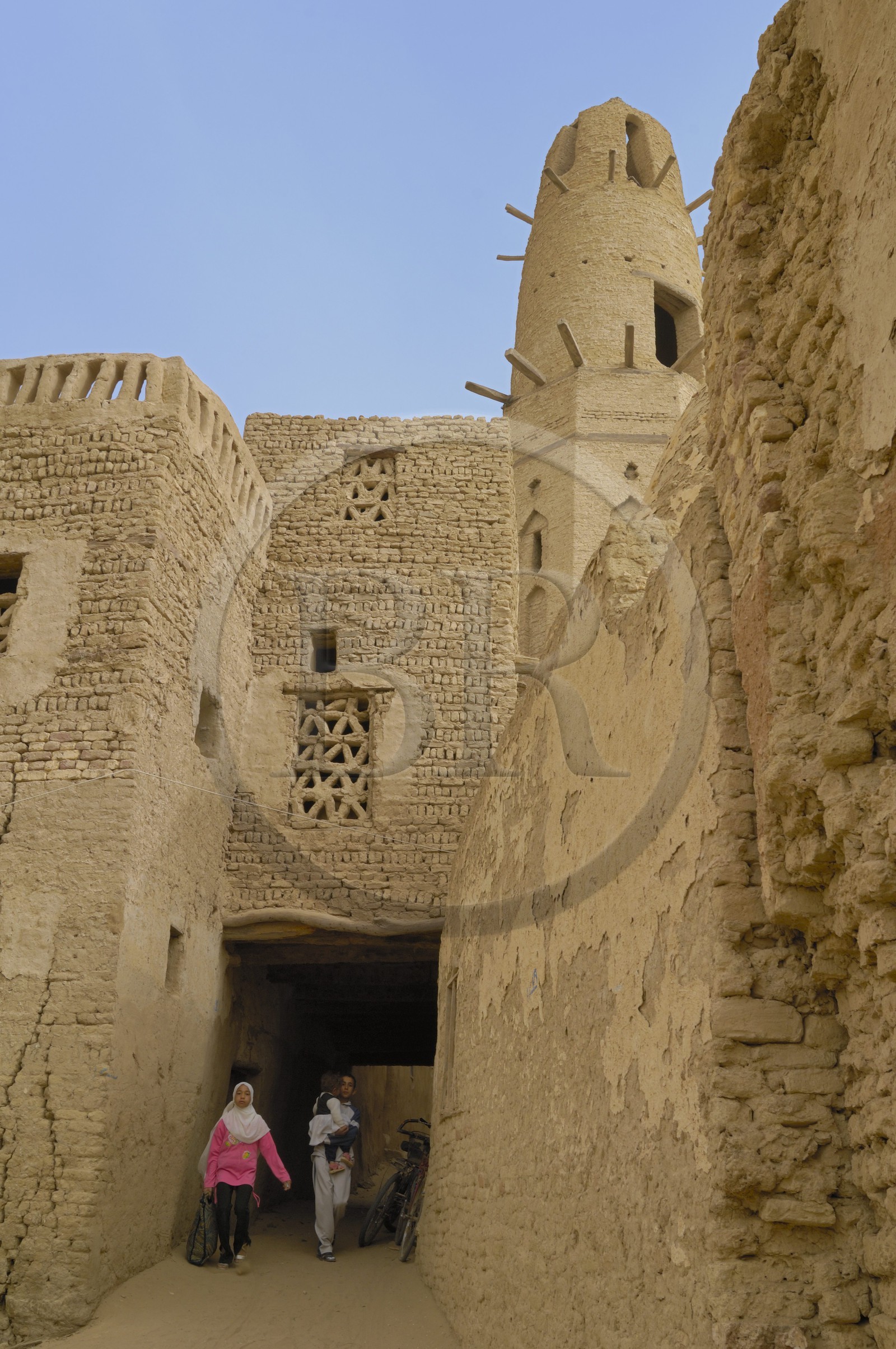 Egypte, Haute Egypte, désert libyque, oasis de Dakhla, vieux village de Al-Qasr