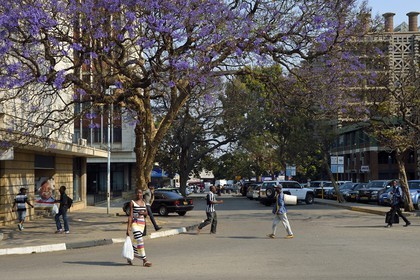 Zimbabwe, Harare, street scene in the city center