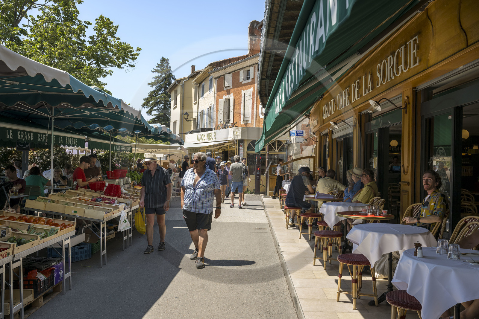France, Vaucluse, L'Isle sur la Sorgue, market day, fruit and vegetable stall
