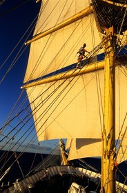 Caribbean sea, the five masted ship SPV Royal Clipper with every sail set, a sailor claims into the sails