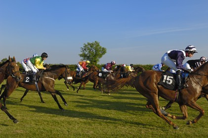 Republic of Ireland, County Meath, Ratoath, Fairyhouse racecourse, horse race