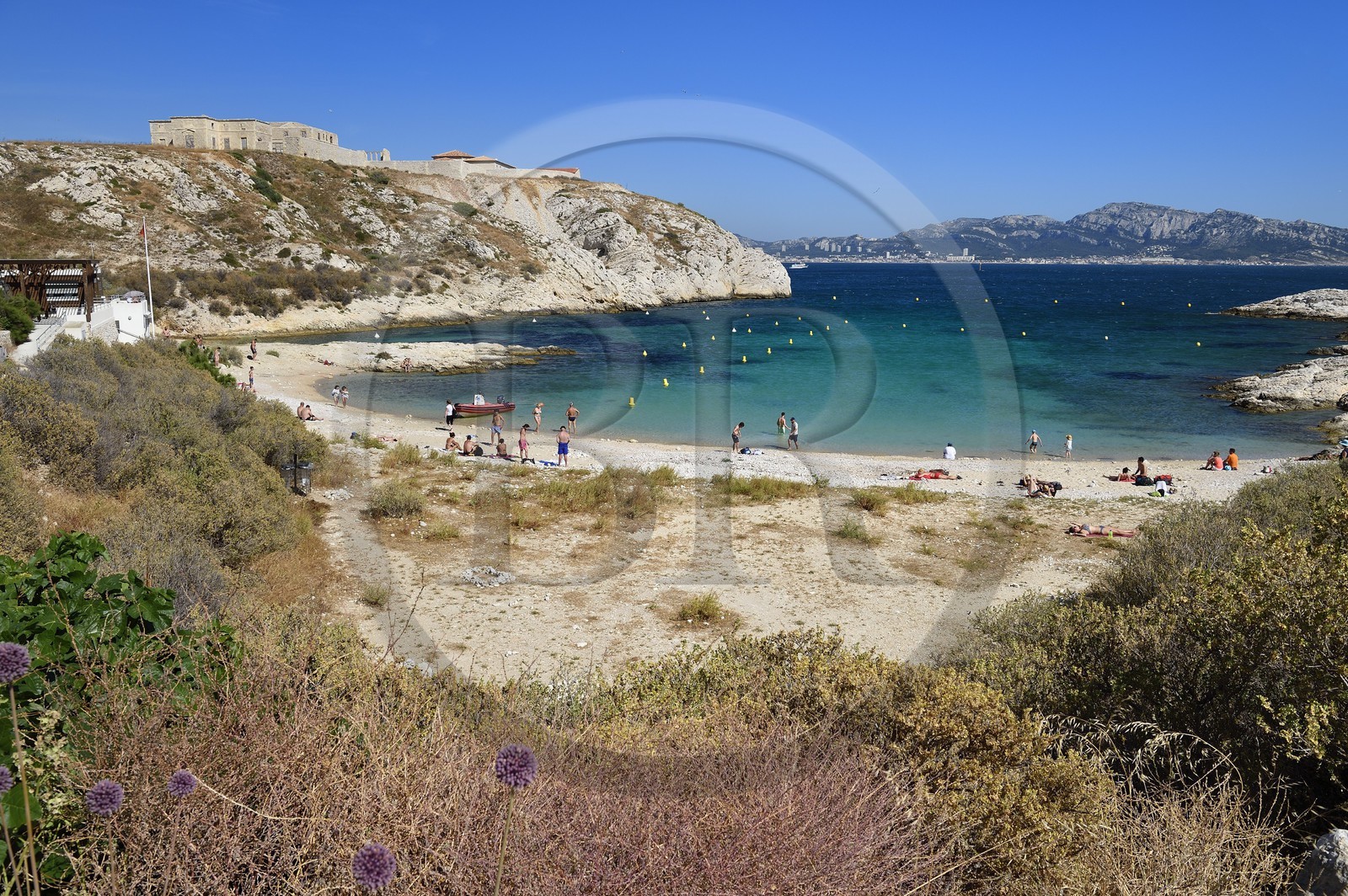 France, Bouches-du-Rhône (13), Marseille, Parc National des Calanques, Archipel des Iles du Frioul, Ile Ratonneau, plage de Saint-Estève