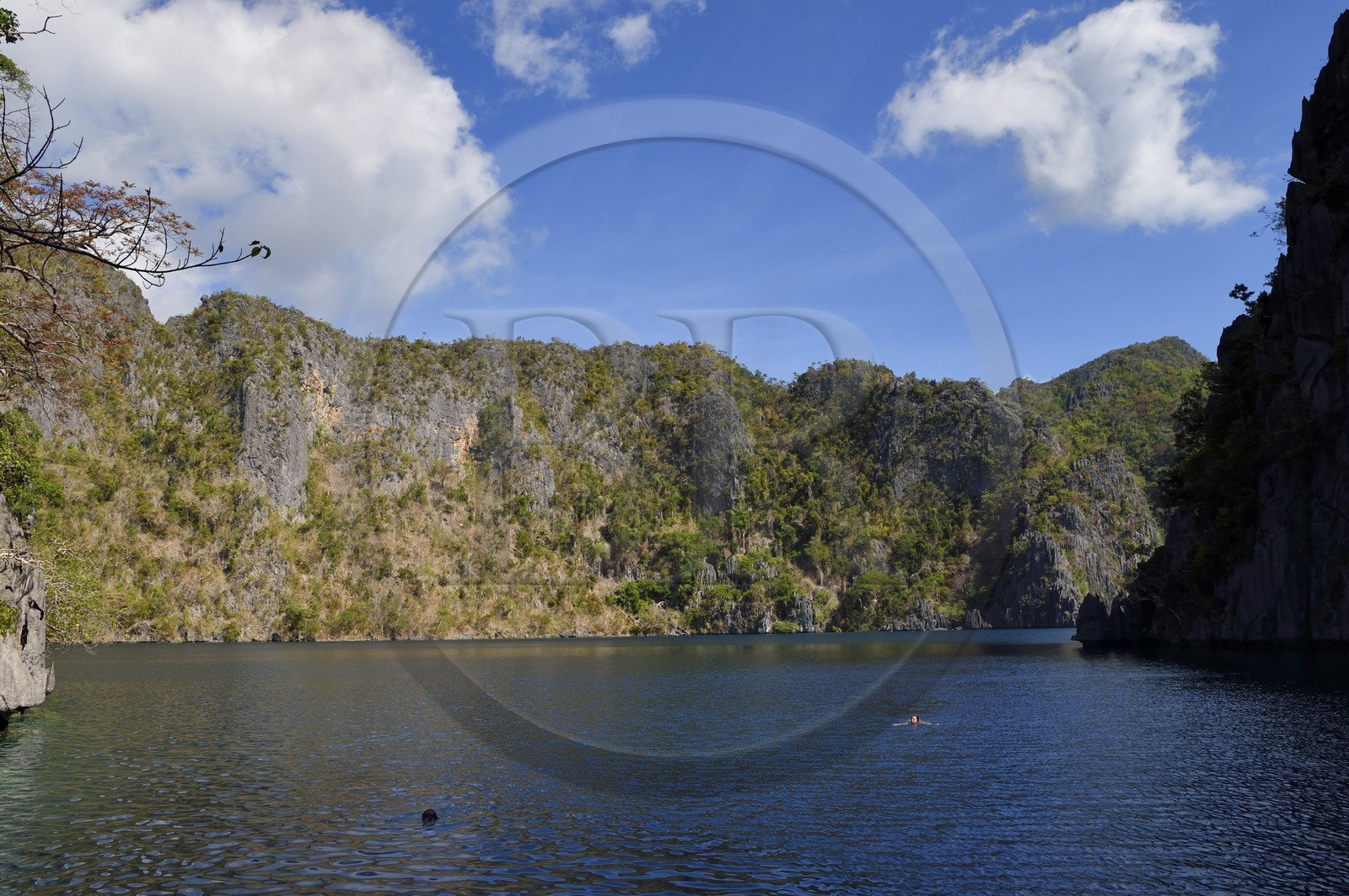Philippines, Calamian Islands dans le nord de Palawan, Coron Island Natural Biotic Area, Barracuda Lake