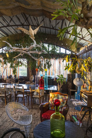 France, Hérault (34), Sète, la Maison du Pescatore, le salon de la maison de l'artiste et designer François Liguori