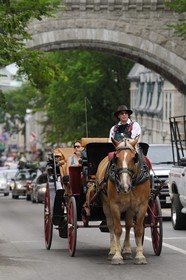 Canada, Quebec Province, Quebec City, Old Town listed as World Heritage by UNESCO, horse drawn carriage in the Upper Town