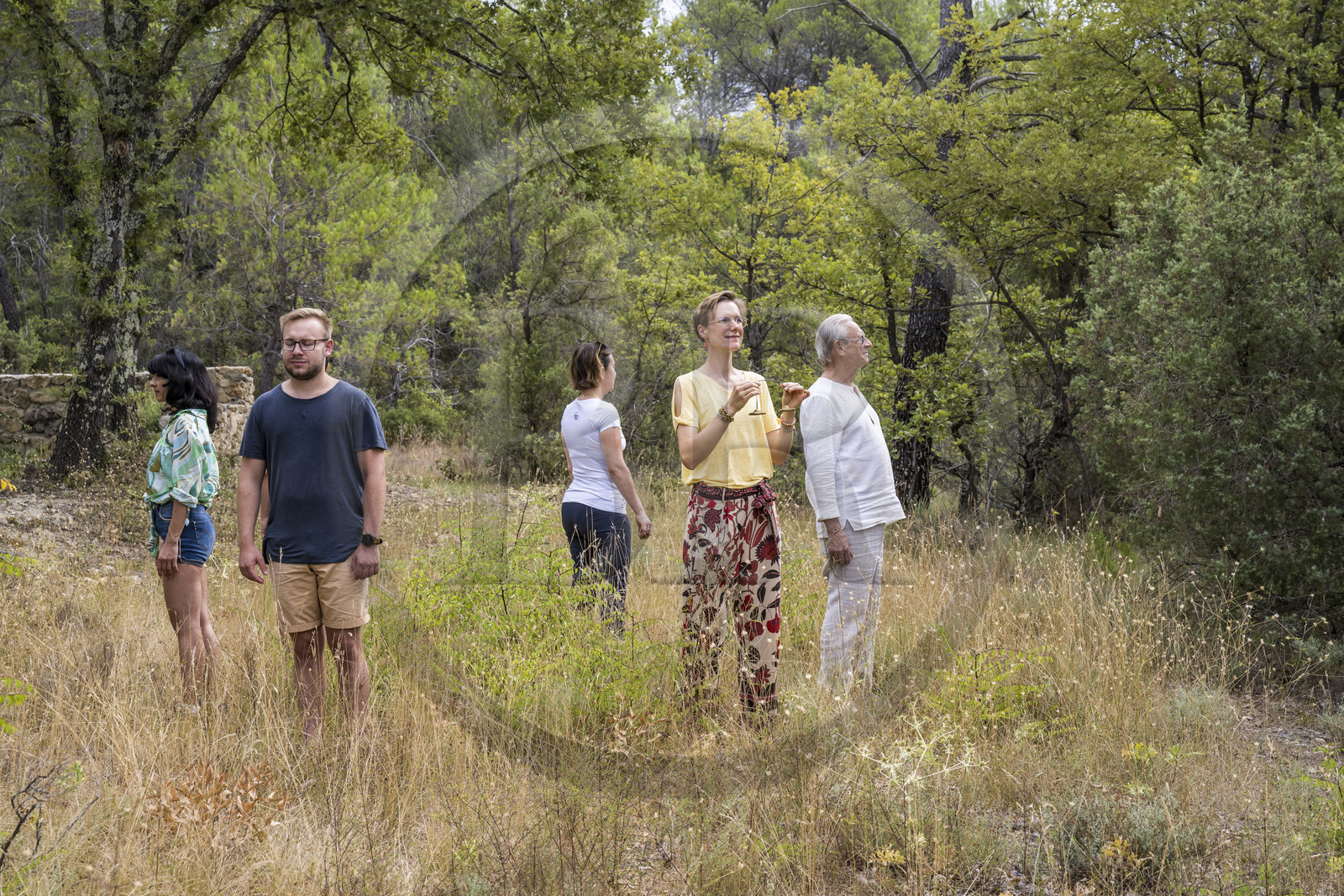 France, Var (83), Provence Verte, Bras, Académie du Bain de Forêt Provençale, forêt du domaine Le Peyrourier - une campagne en Provence, Constanze Coisne guide le Shinrin Yoku
