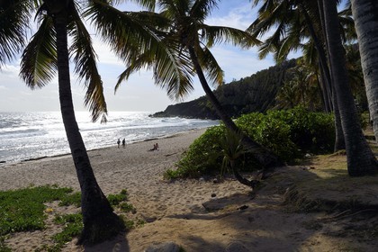 France, Ile de la Reunion, Petite-Ile sur la côte sud, plage de Grand-Anse
