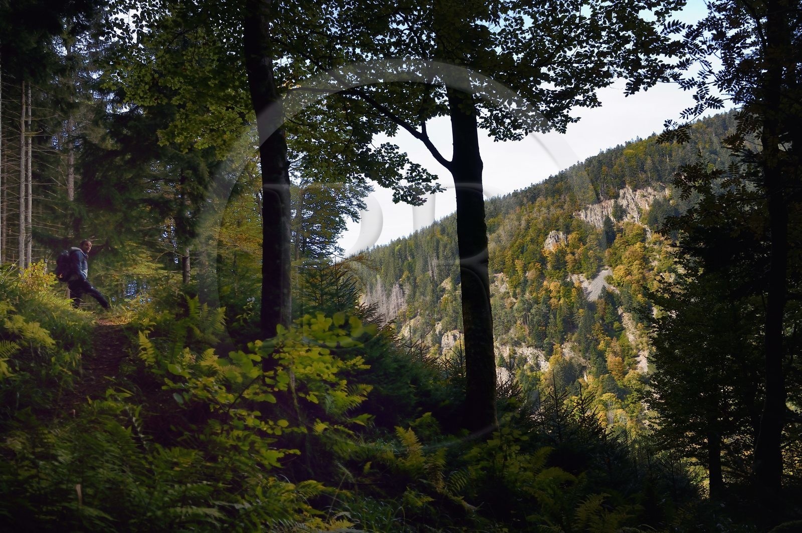 France, Vosges (88), Le Valtin, randonnée dans la vallée du Valtin dans la haute-vallée de la Meurthe sur le circuit des Roches